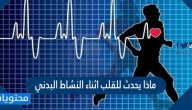 ماذا يحدث للقلب اثناء النشاط البدني