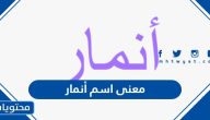 معنى اسم أنمار وصفات حامل الاسم