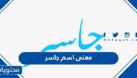 معنى اسم جاسر وصفات حامل الاسم وحكم التسمية به في الإسلام