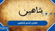 معنى اسم شاهين وصفات حامل الاسم وحكم التسمية به في الإسلام
