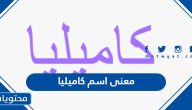 معنى اسم كاميليا وحكم التسمية به في الإسلام وشخصية حاملته