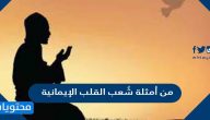 من أمثلة شُعب القلب الإيمانية