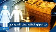 من الموارد المالية لدخل الاسرة هي