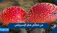 من خصائص فطر الإسبرجلس
