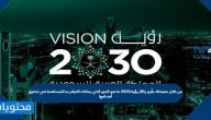 من خلال معرفتك لأبرز مرتكزات رؤية 2030 ما الدور الذي يمكنك القيام به لتساهمي في تحقيق أهدافها