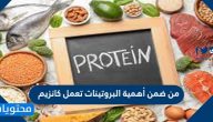 من ضمن أهمية البروتينات تعمل كانزيم . صح أم خطأ