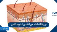 من وظائف الجلد في الانسان تصنيع فيتامين