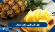 هل الاناناس مضر للحامل