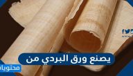 يصنع ورق البردي من