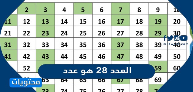 العدد 28 هو عدد - موقع محتويات