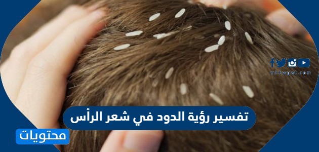 تفسير رؤية الدود في شعر الرأس موقع محتويات