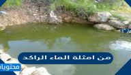 من امثلة الماء الراكد