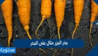 جذر الجزر مثال على الجذر