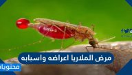مرض الملاريا اعراضه واسبابه