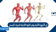أي الأجهزة الآتية يوفر القوة اللازمة لتحريك الجسم