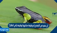 أي عضو في الضفدع له وظيفة مشابهة لوظيفة رئتي الطائر؟