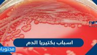 اسباب بكتيريا الدم وما هي عوامل الخطورة للإصابة ببكتيريا الدم