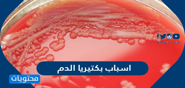 اسباب بكتيريا الدم وما هي عوامل الخطورة للإصابة ببكتيريا الدم