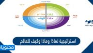 استراتيجية لماذا وماذا وكيف للعالم