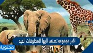 اكبر مجموعه تصنف اليها المخلوقات الحيه