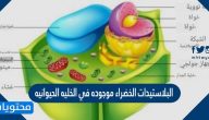 البلاستيدات الخضراء موجوده في الخليه الحيوانيه صح أم خطأ
