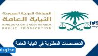 التخصصات المطلوبة في النيابة العامة السعودية 1443