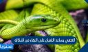 التخفي يساعد الثعبان على البقاء من اشكاله