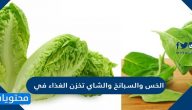الخس والسبانخ والشاي تخزن الغذاءفي