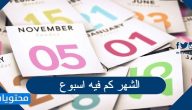 الشهر كم فيه اسبوع