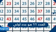 العدد 11 هو عدد أولي صح أم خطأ