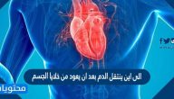 الى اين ينتقل الدم بعد ان يعود من خلايا الجسم