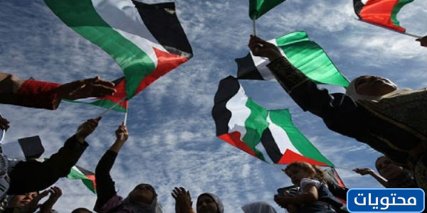 صور عن اليوم العالمي للتضامن مع فلسطين