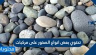 تحتوي بعض انواع الصخور على مركبات