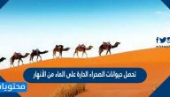 تحصل حيوانات الصحراء الحارة على الماء من الأنهار صح أم خطأ