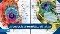 تختلف الخلايا النباتية عن الخلايا الحيوانية في ثلاثة خيارات من أربعة من التالي