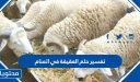 تفسير حلم العقيقة في المنام