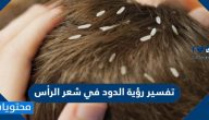 تفسير رؤية الدود في شعر الرأس