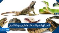 تمر الزواحف والاسماك والطيور بمرحلة التحول
