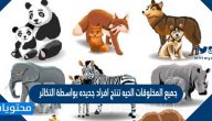 جميع المخلوقات الحيه تنتج افراد جديده بواسطة التكاثر صح أم خطأ