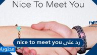 رد على nice to meet you