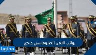 كم رواتب الامن الدبلوماسي جندي 1447