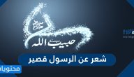 شعر عن الرسول قصير