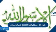 صور إلا رسول الله للدفاع عن الرسول صلى الله عليه وسلم