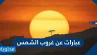 عبارات عن غروب الشمس