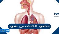 عضو التنفس هو