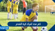 كم عدد افراد كرة القدم