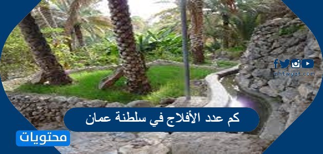 كم عدد الأفلاج في سلطنة عمان