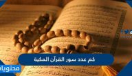 كم عدد سور القرآن المكية
