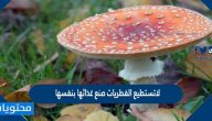 لاتستطيع الفطريات صنع غذائها بنفسها