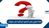  لماذا تحتوي بعض الصخور البركانية على فجوات
